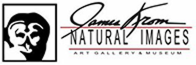 red-line-top-logo